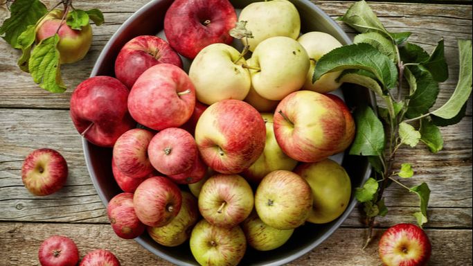 Schedule Of Events Trimble County Apple Festival